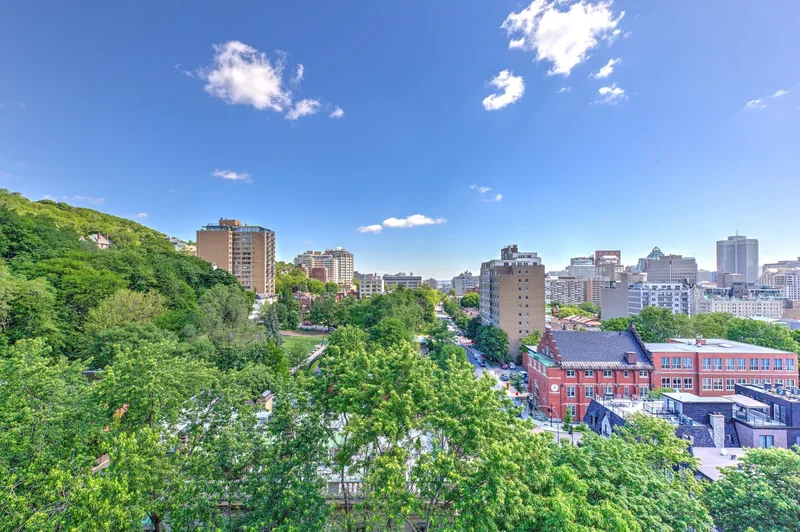 1515 Av. du Docteur-Penfield 906, Montréal, Quebec, Canada. - Photo 7