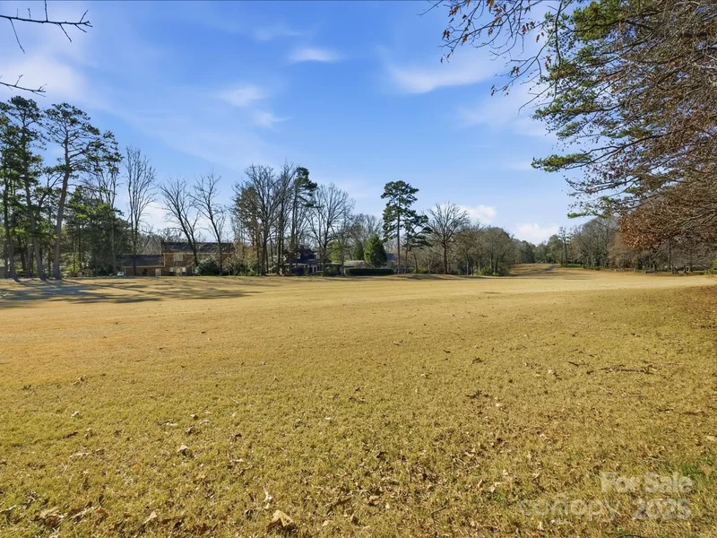 9218 Deerpark Lane, Charlotte, NC 28277, Charlotte, North Carolina, United States. - Photo 46