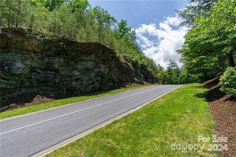 0 Mills River Way 53R, Horse Shoe, North Carolina, United States. - Photo 16
