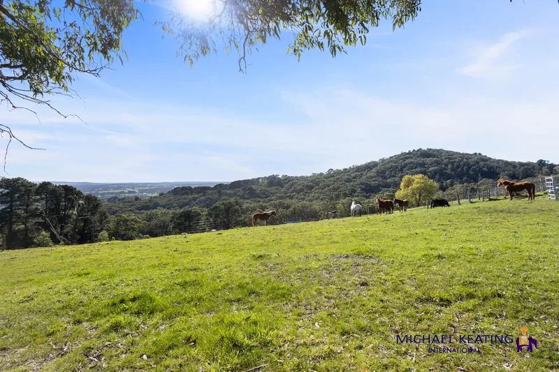 675 White Hill Rd, Red Hill VIC 3937, Australia, Red Hill, Victoria, Australia. - Photo 11