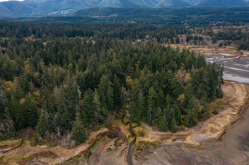 Lot 13 Island Highway West, Bowser, BC V0R 1G0, Nanaimo, British Columbia, Canada. - Photo 6