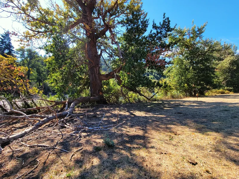 52 Highway 10, Cle Elum, WA 98922, Cle Elum, Washington, United States. - Photo 19