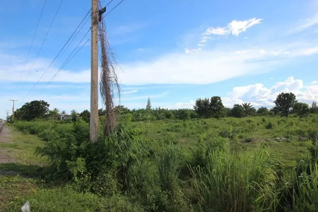 Prachuap Khiri Khan,, Wang Pong, Prachuap Khiri Khan, Thailand. - Photo 1
