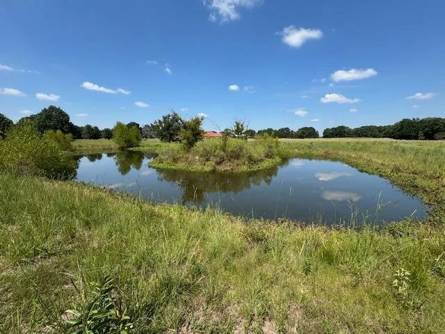 796 Vzcr 1922, Fruitvale, TX 75127, Fruitvale, Texas, United States. - Photo 44