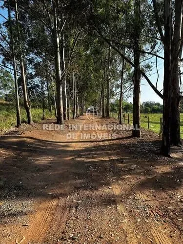 Brazil. - Photo 29