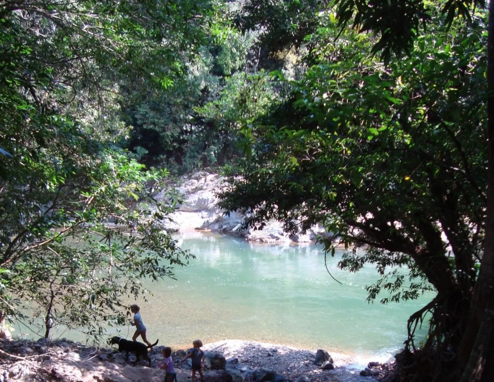 5WMC+69, Chepo, Panamá Province, Panama, Chepo, Panama, Panama. - Photo 12