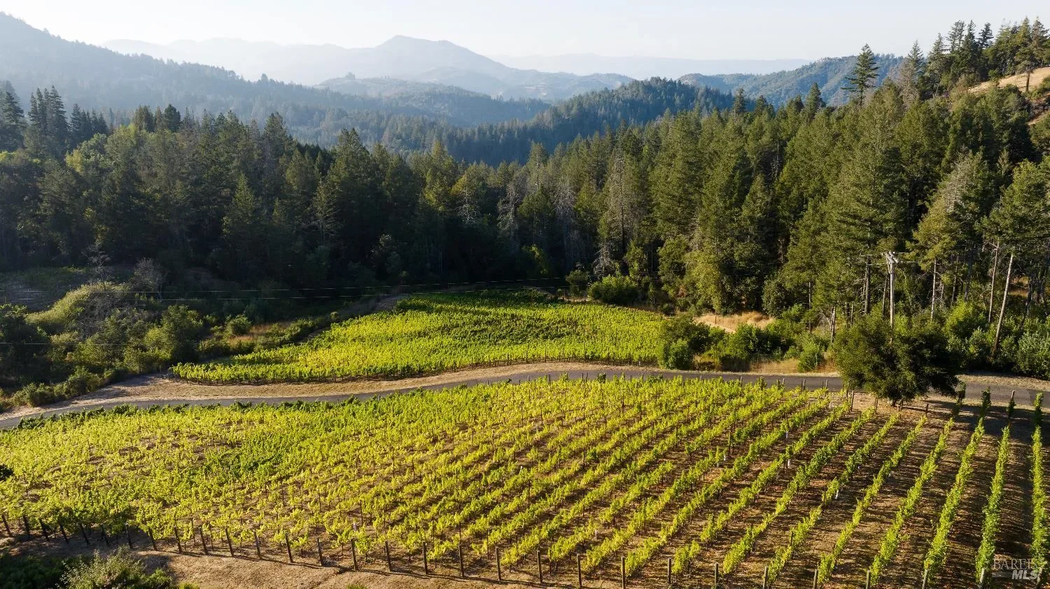 3000 Mount Veeder Road, Napa, California, United States. - Photo 40