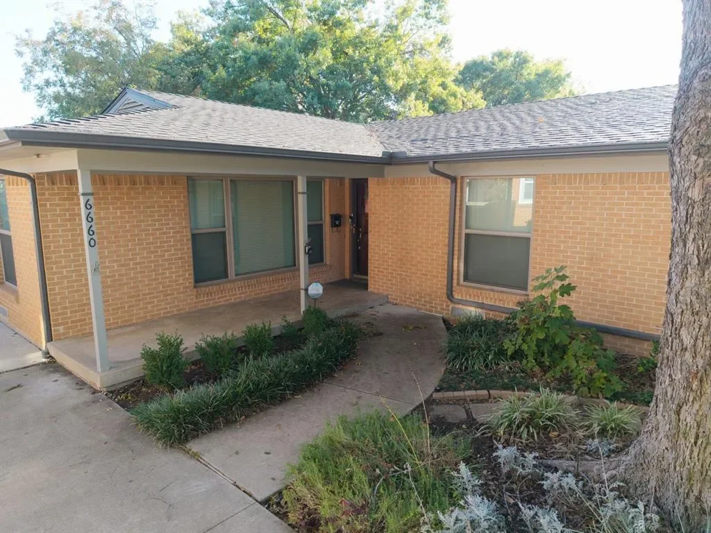 Gallery photo 5