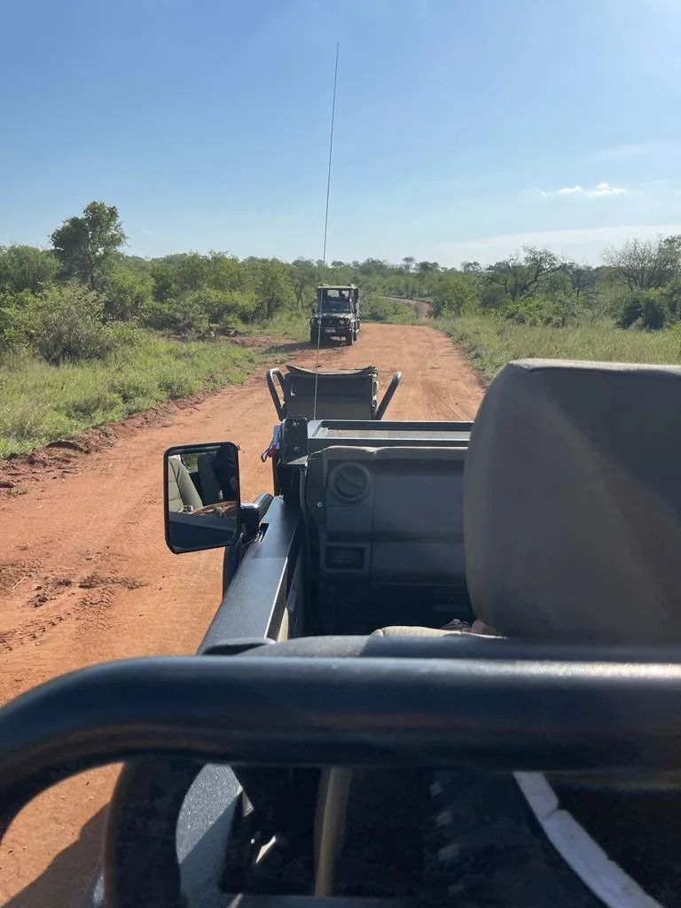 PWG2+53, 1380, South Africa, Mopani, South Africa. - Photo 9