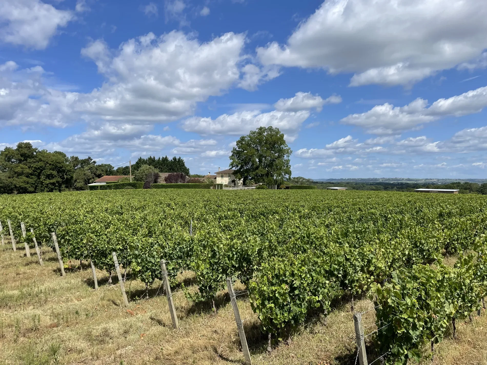 Langon, Nouvelle-Aquitaine, France. - Photo 4