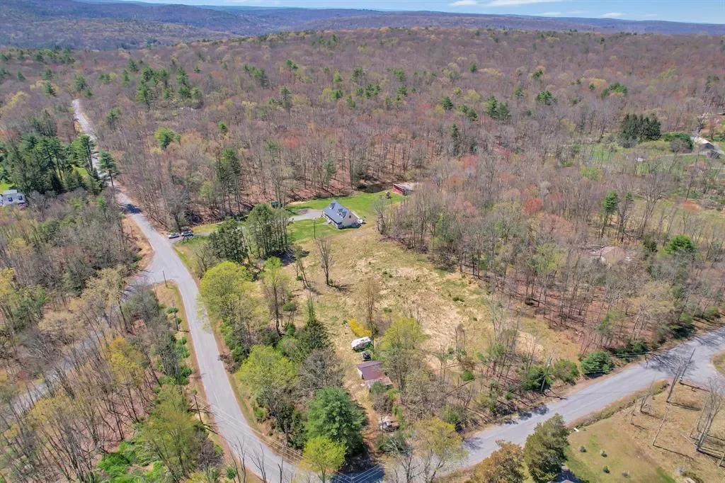 65 York Lake Road, Barryville, NY 12719, Barryville, New York, United States. - Photo 19