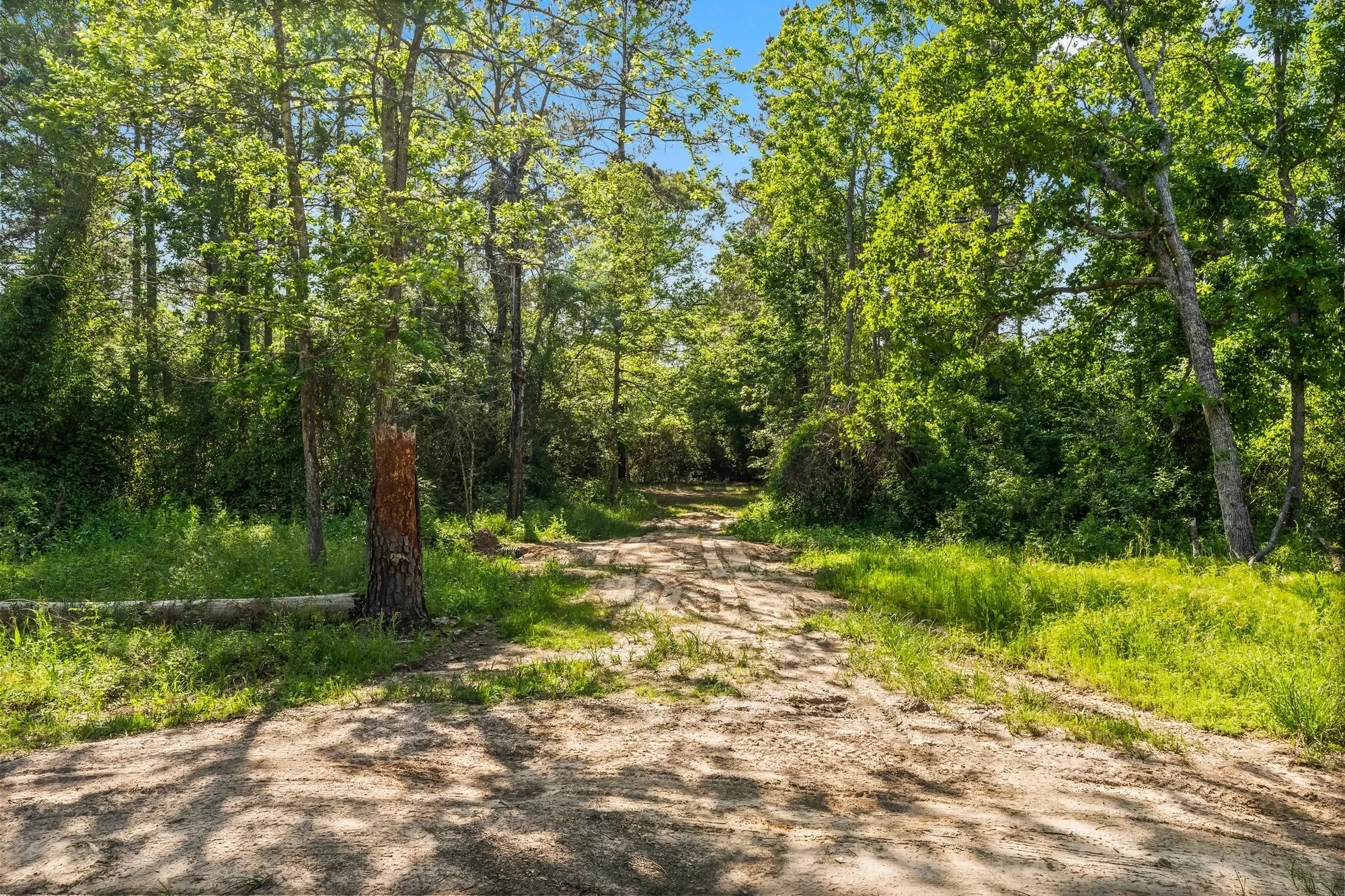 11053 Heritage Ranch Road, Conroe, TX 77303, Conroe, Texas, United States. - Photo 37