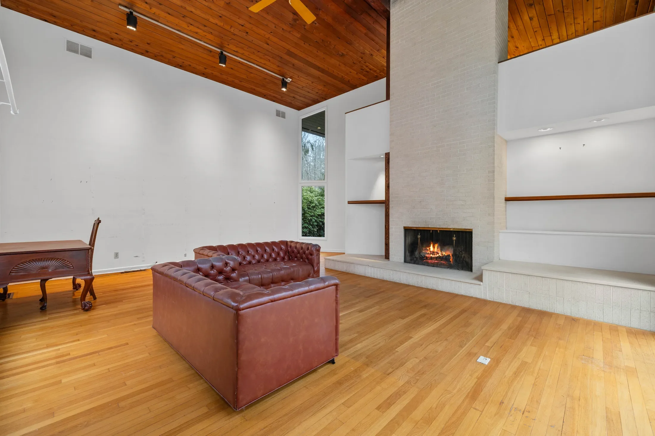 Gallery photo 5