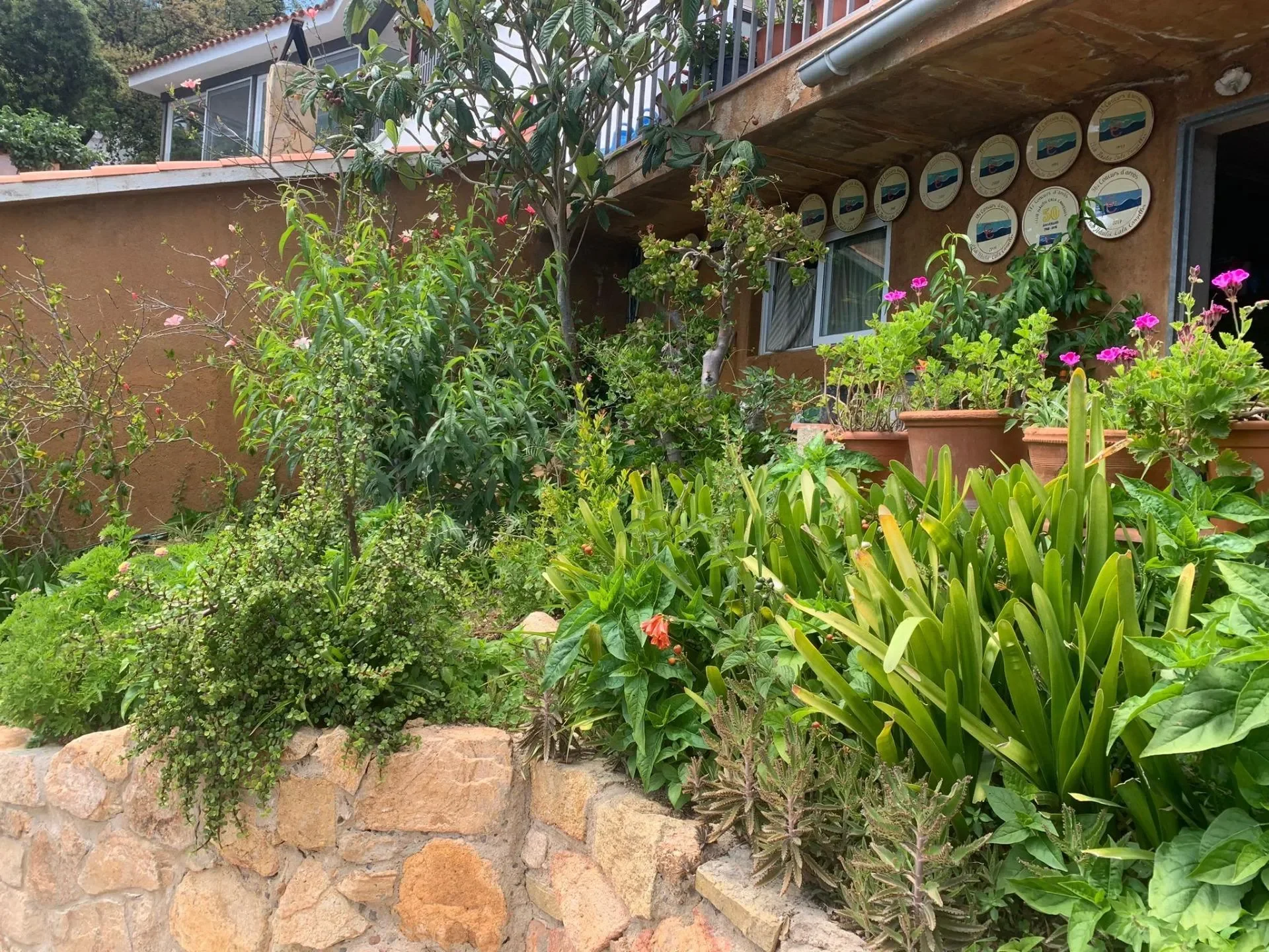 Cala Canyelles, Lloret de Mar, GIRONA, Lloret de Mar, Lloret de Mar, Catalonia, Spain. - Photo 13