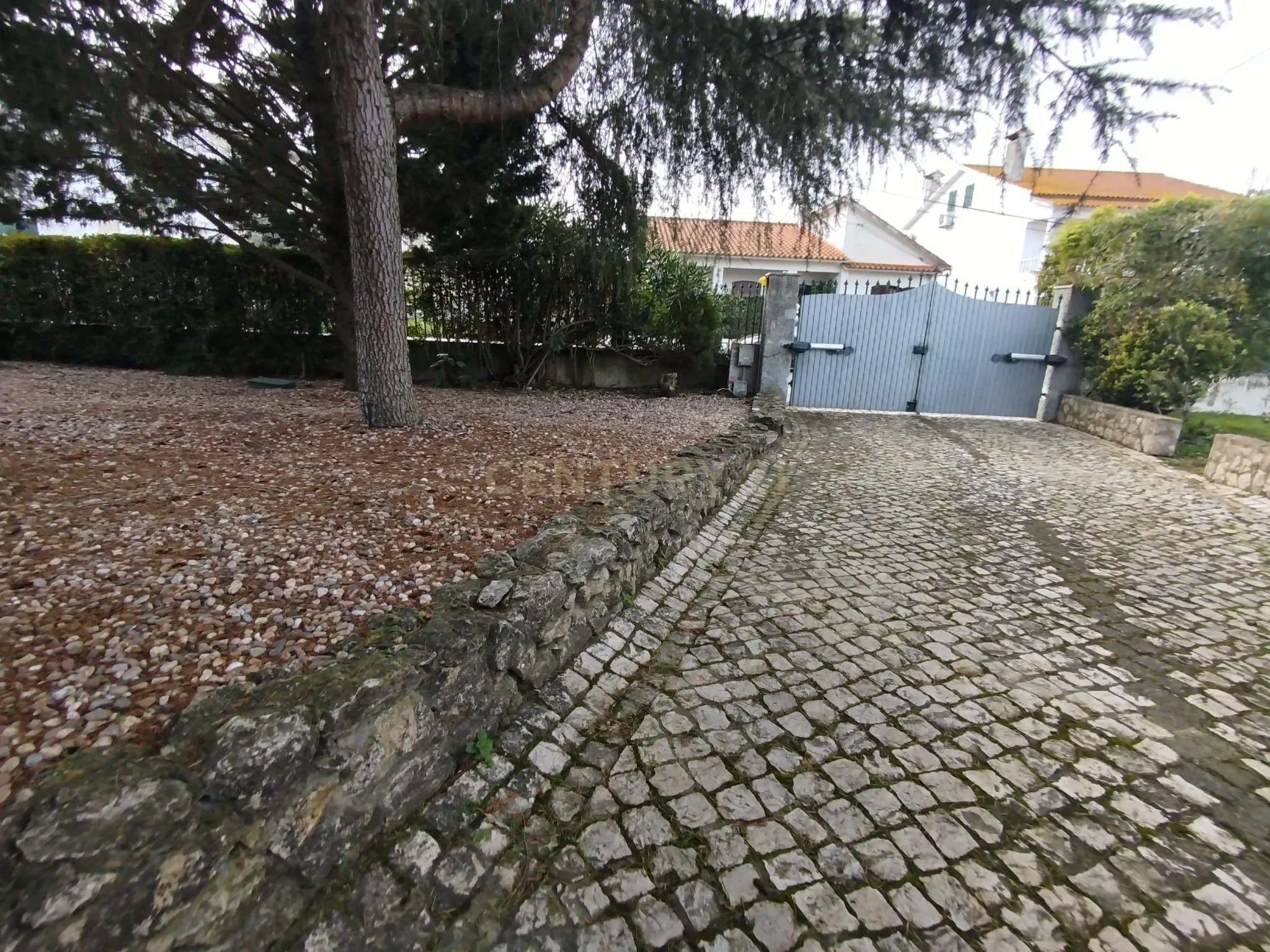 Gallery photo 10