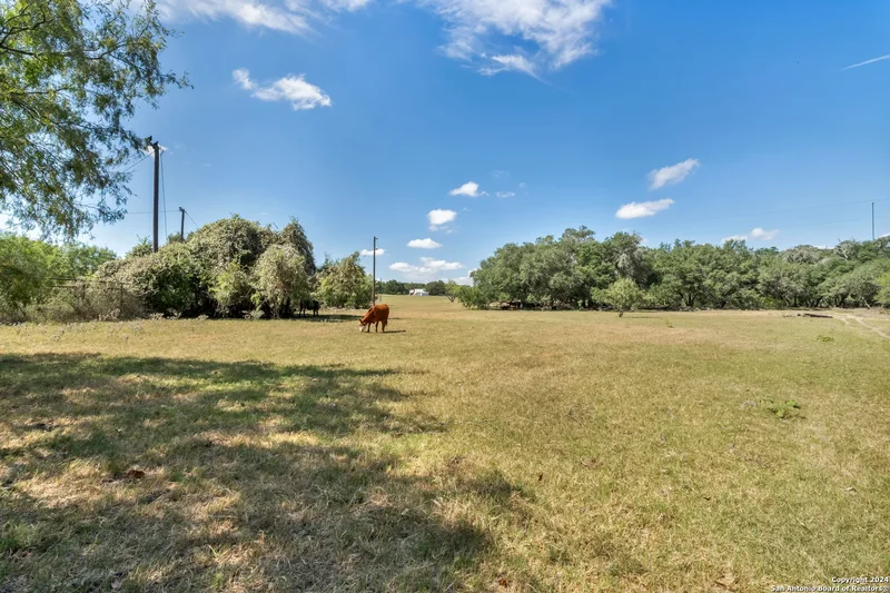 12153 E US Hwy 87 W, La Vernia, TX 78121, La Vernia, Texas, United States. - Photo 22