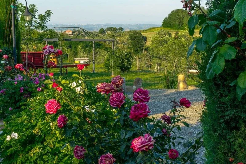 Montaione, Tuscany, Italy. - Photo 29