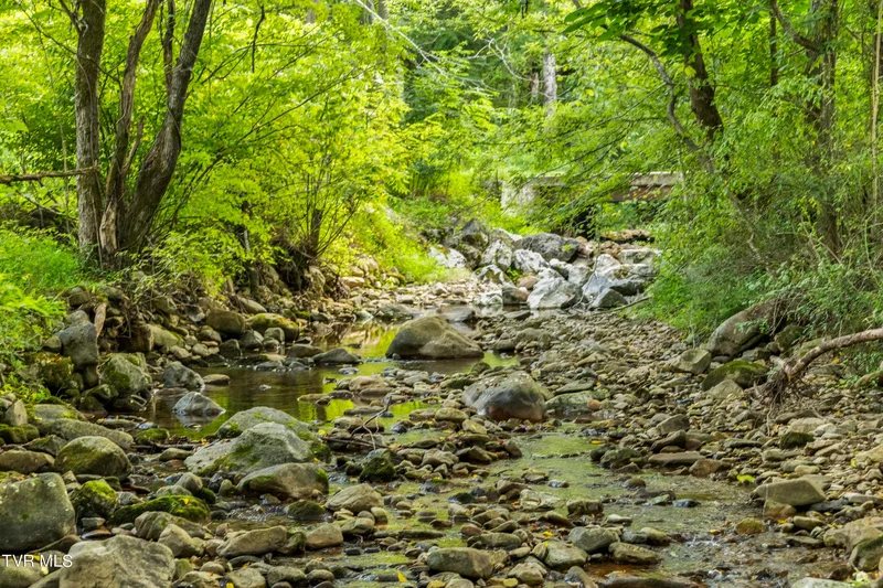 131 Brown Drive, Chuckey, TN 37641, Chuckey, Tennessee, United States. - Photo 81