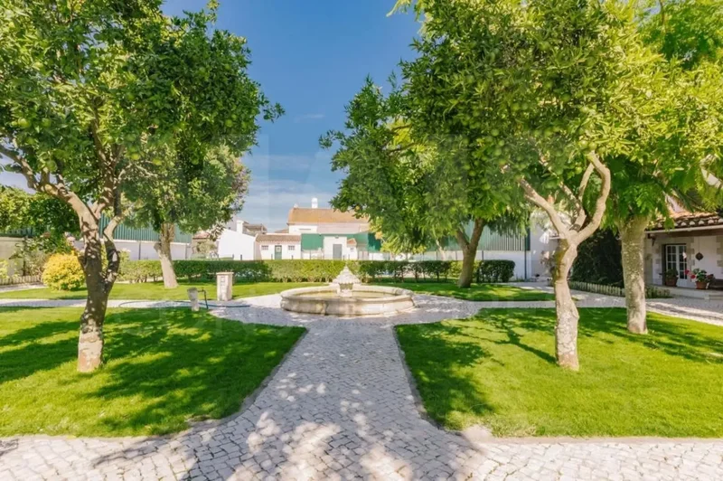Benavente, Santarem District, Portugal. - Photo 14