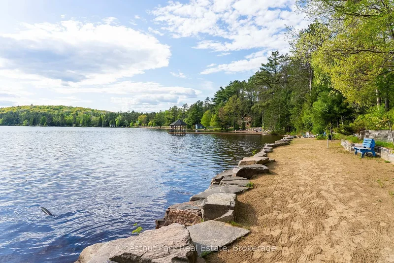 1091 Dwight Beach Road, Huntsville, Ontario, Canada. - Photo 38