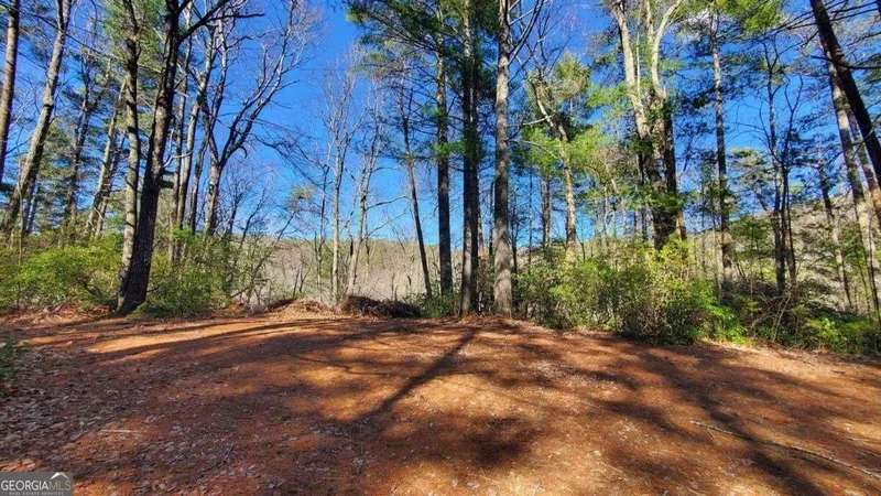 51+ ACRE Mountain Cove Way #1-8, Cherry Log, GA 30522, Cherry Log, Georgia, United States. - Photo 2