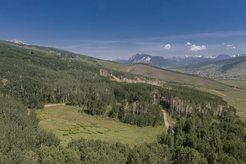 2555 Aspen Mountain Rd , Crested Butte, CO 81224, Crested Butte, Colorado, United States. - Photo 46