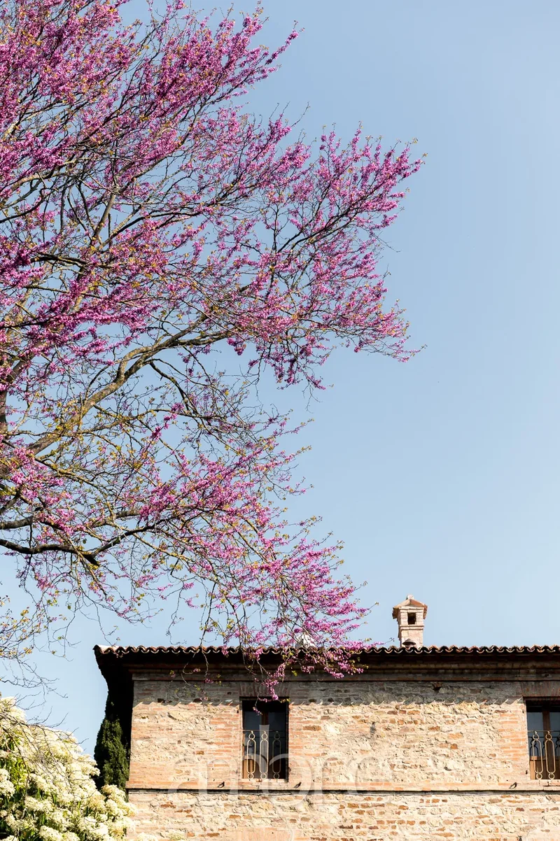 47032 Bertinoro, Province of Forlì-Cesena, Italy, Bertinoro, Emilia-Romagna, Italy. - Photo 15