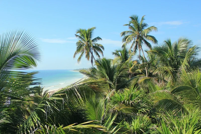 Camino Tulum-Boca Paila Lote Fracc. 1 Lote 12, Km 5.3, Sian Ka´an, ROO 77780, Tulum, Quintana Roo, Mexico. - Photo 22