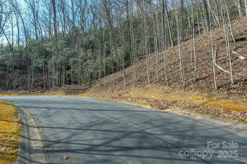0 Shining Rock Path 12, Horse Shoe, North Carolina, United States. - Photo 34