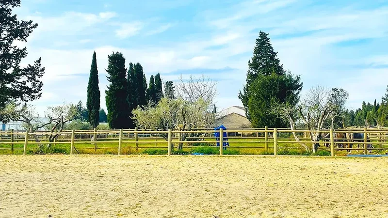 Sorgues, Provence-Alpes-Côte d'Azur, France. - Photo 14