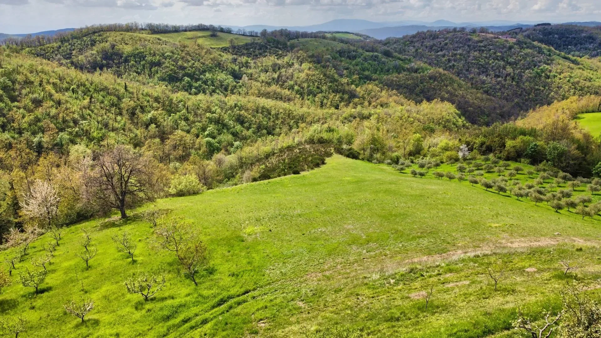 Via Montecchio 68, San Damiano, Umbria, Italy. - Photo 5