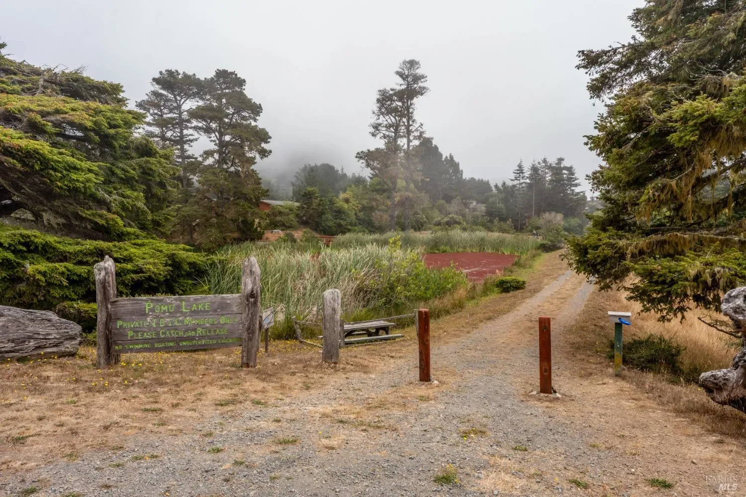 15741 Forest View Road, Manchester, California, United States. - Photo 16