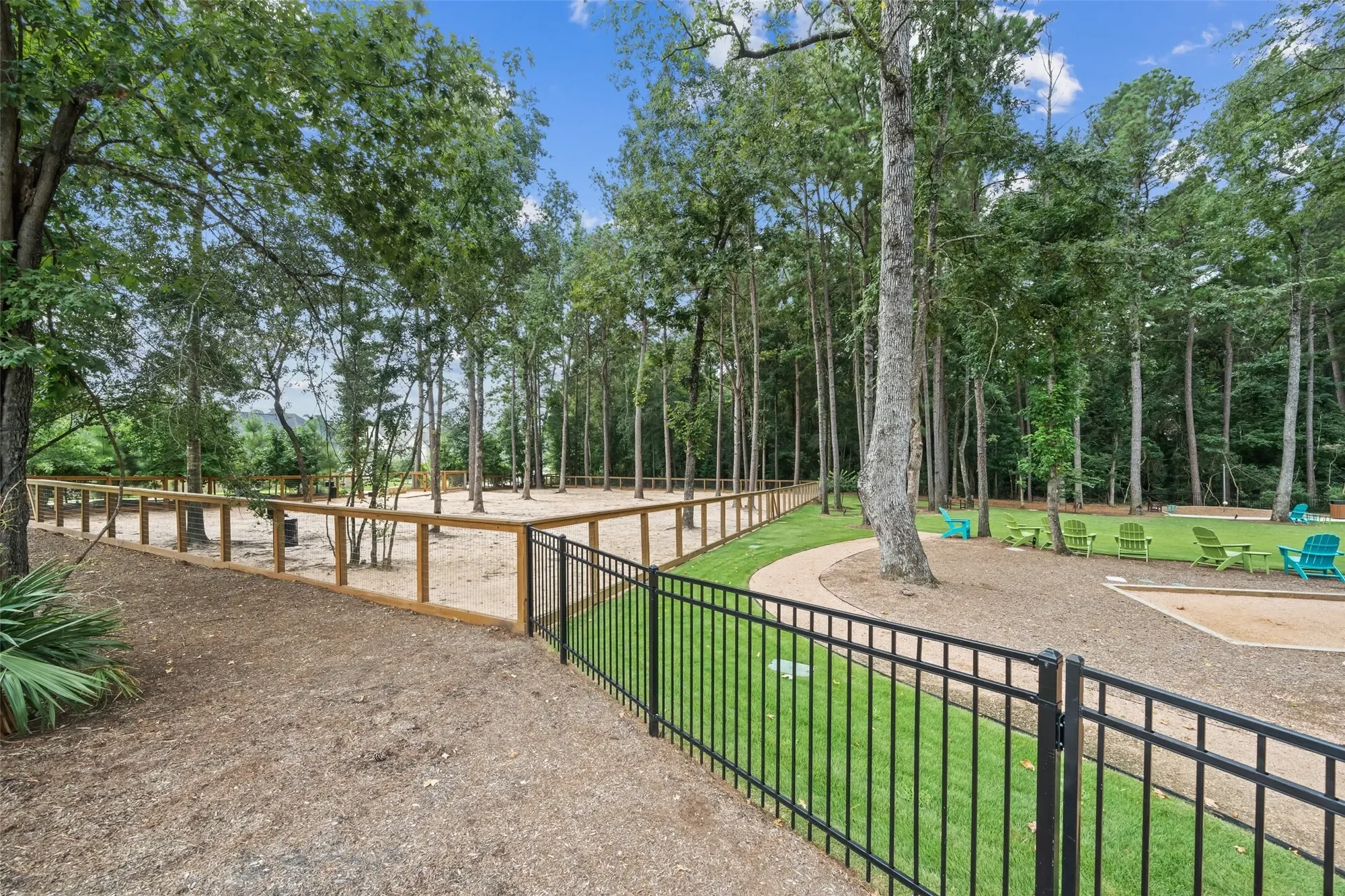 221 Patina Sorrel Drive, Montgomery, TX 77316, Montgomery, Texas, United States. - Photo 34