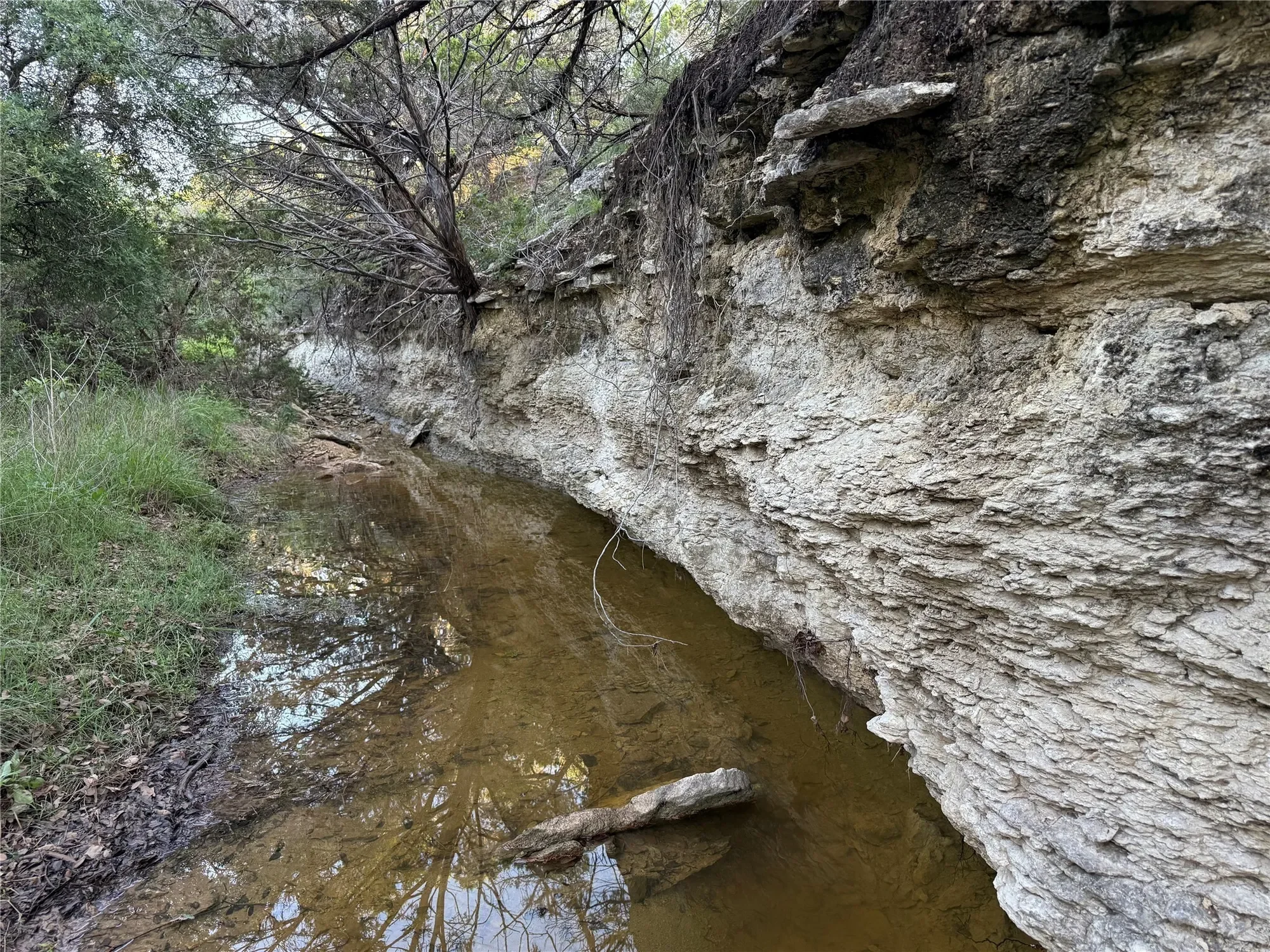 Gallery photo 11