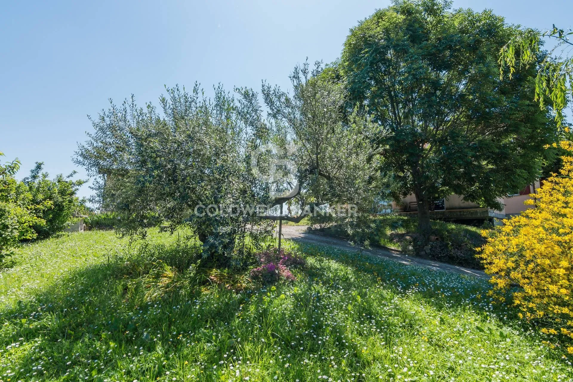 Via Ca' Castellano 498, Montescudo-Monte Colombo, Emilia-Romagna, Italy. - Photo 11