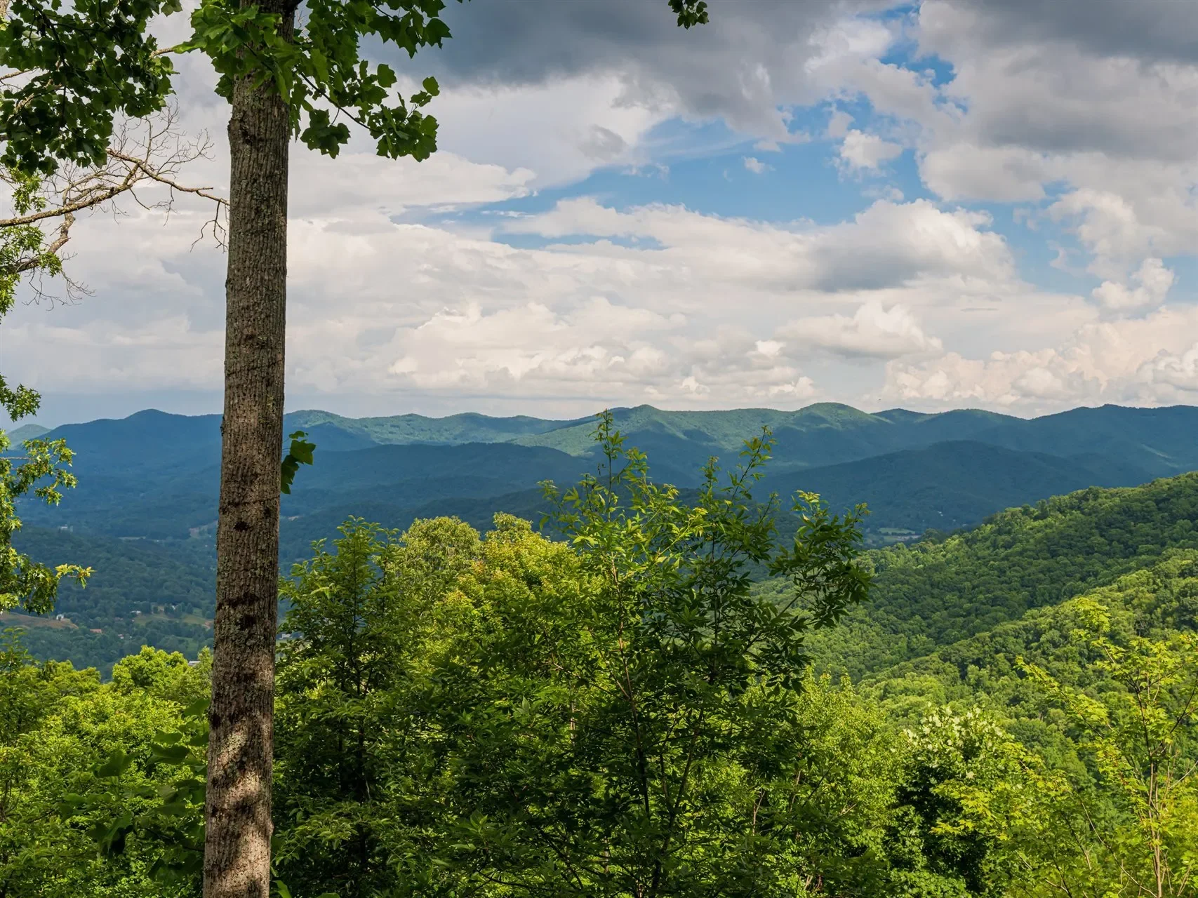 130 Bluff Creek, Candler, NC, 28715, USA, Candler, North Carolina, United States. - Photo 25