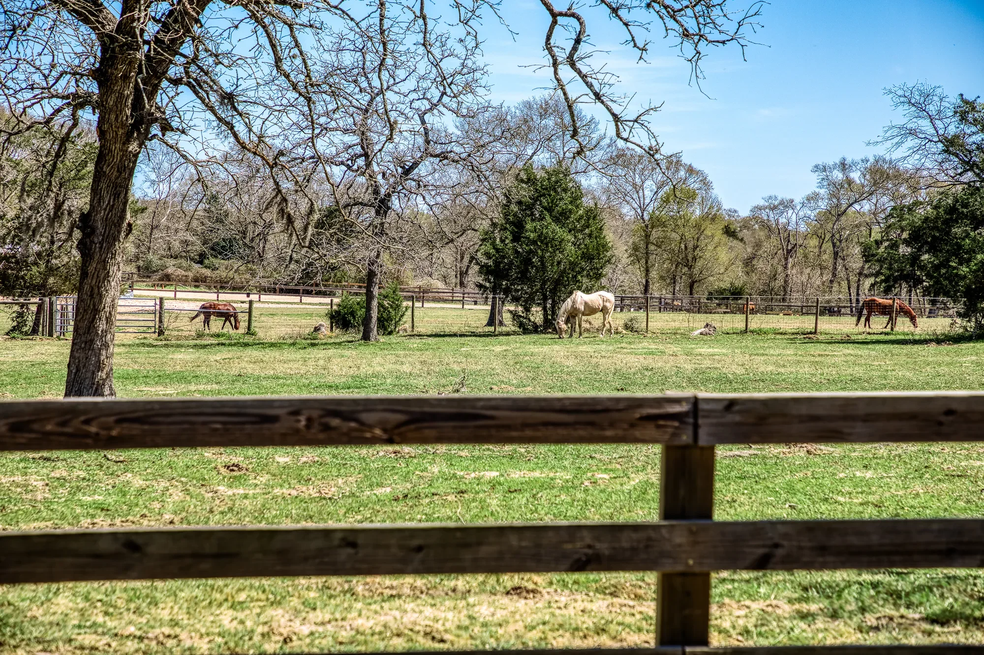 17677 Tranquil Ln , Cat Spring, TX 78933, Cat Spring, Texas, United States. - Photo 56