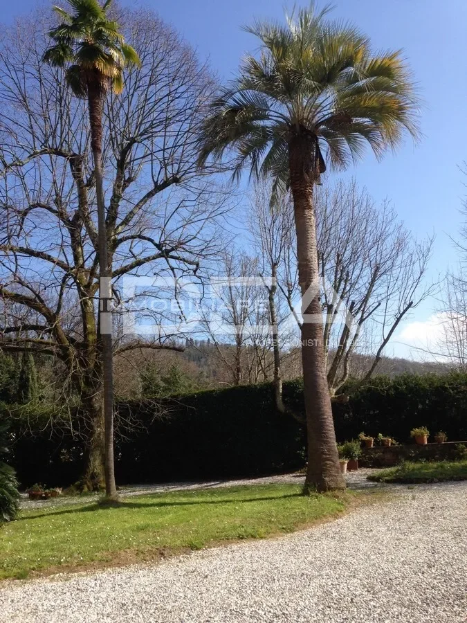 Lucca, Tuscany, Italy. - Photo 5