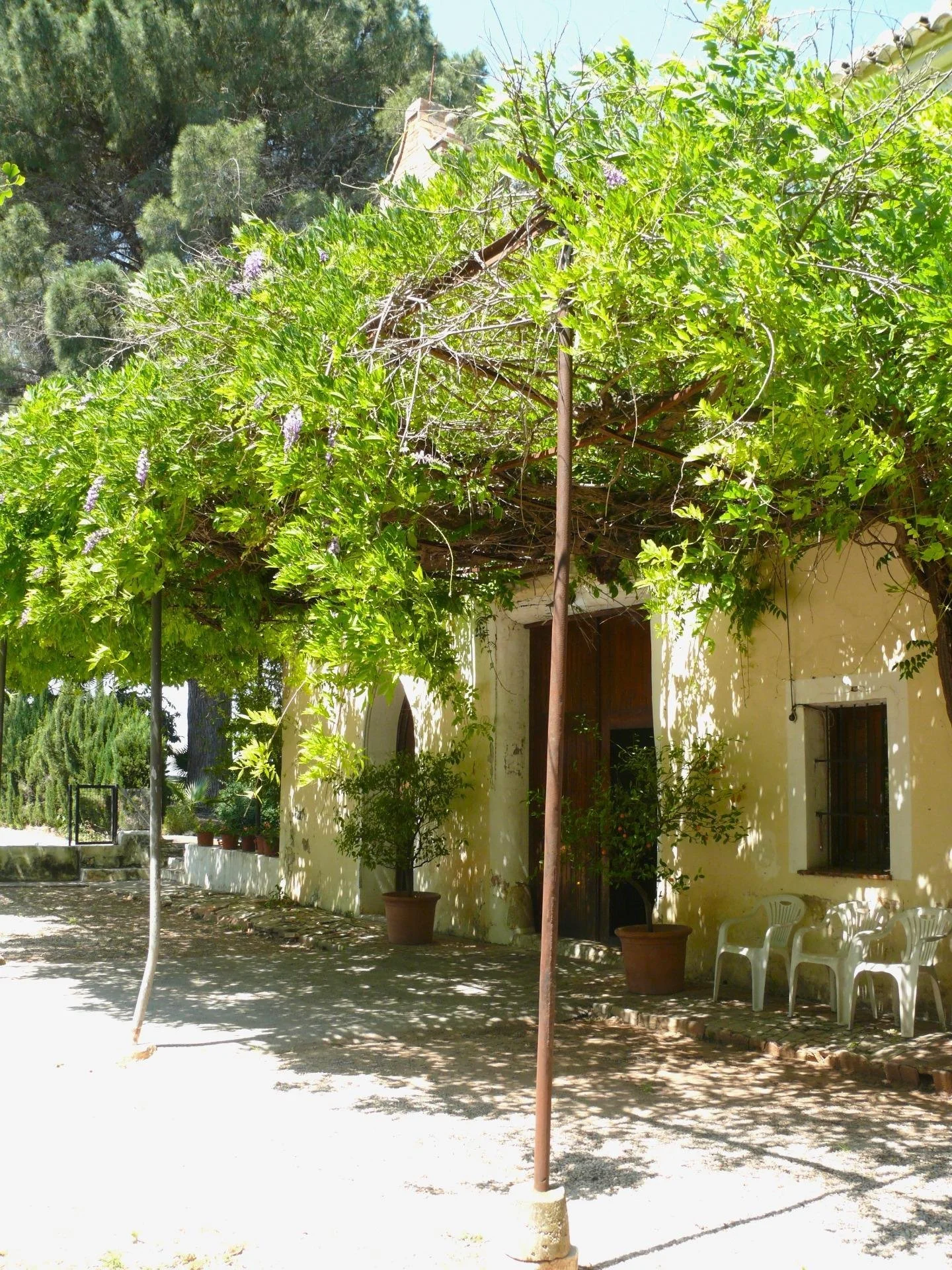 Property photo 6