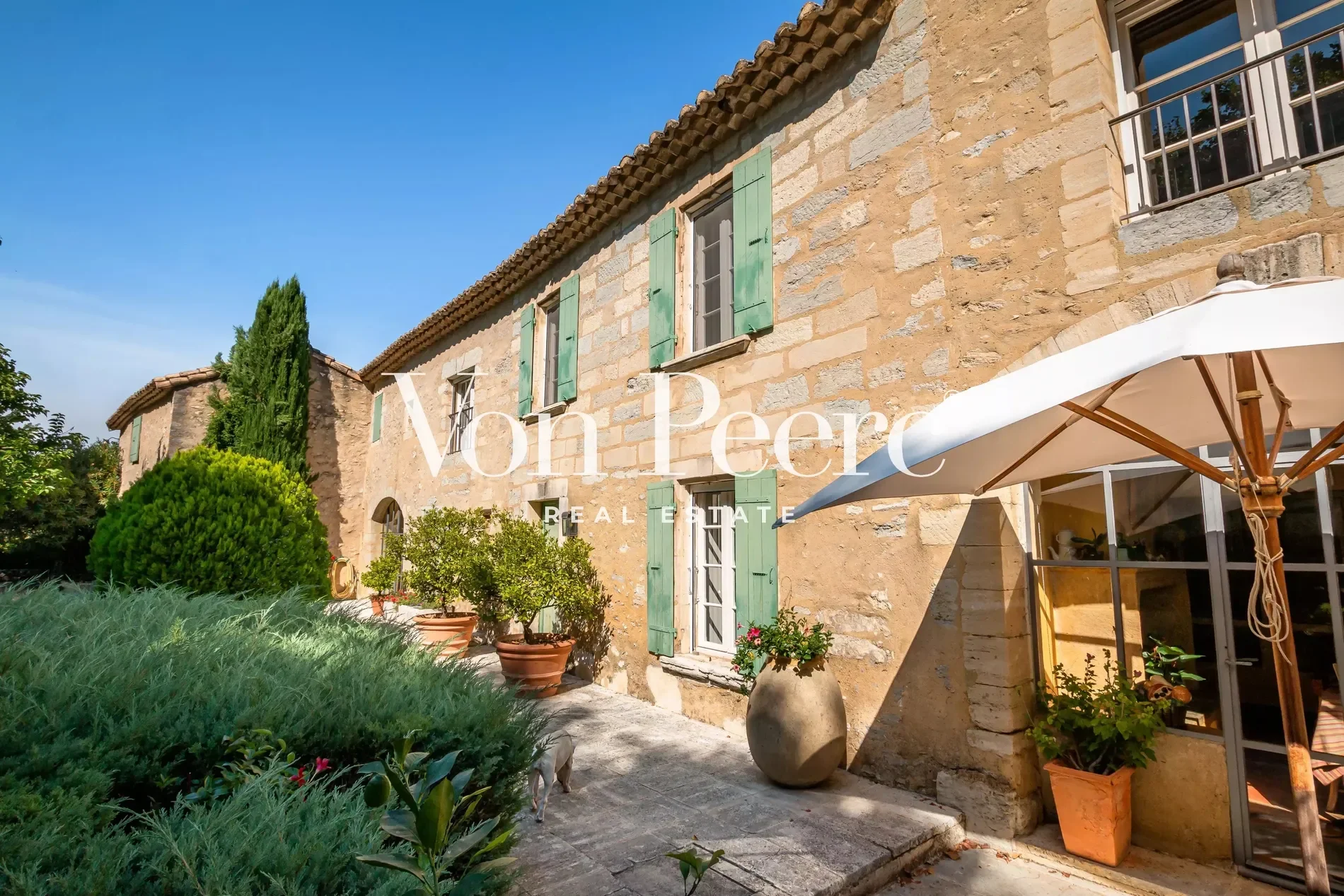 Saint-Rémy-de-Provence, Provence-Alpes-Côte d'Azur, France. - Photo 15