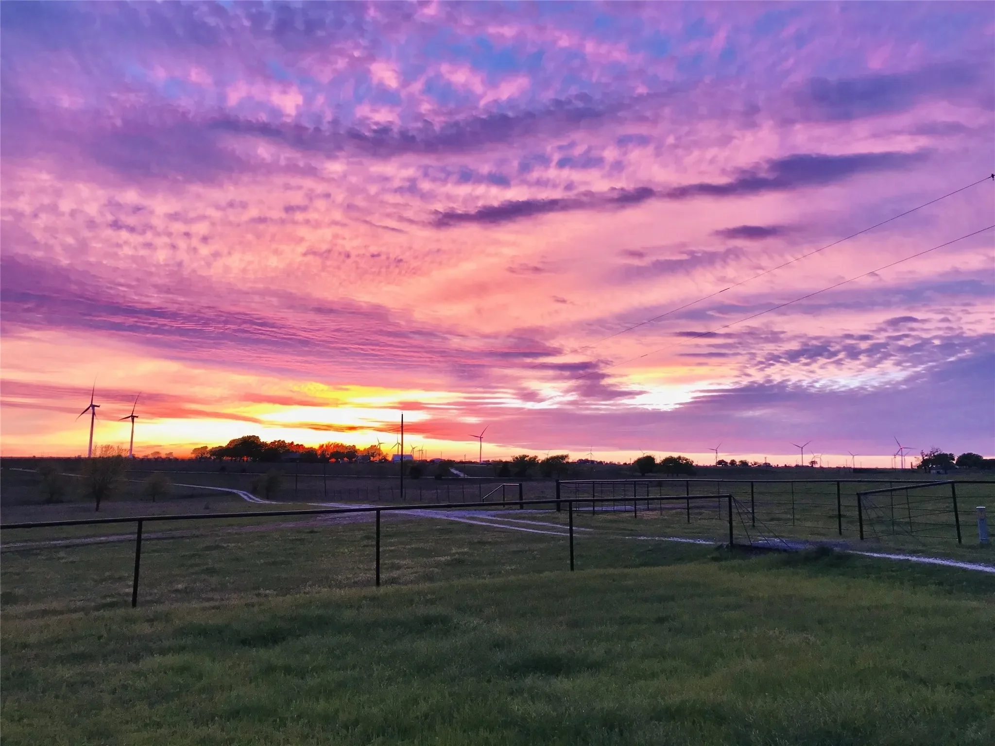 1332 County Road 423, Muenster, TX 76252, Muenster, Texas, United States. - Photo 18