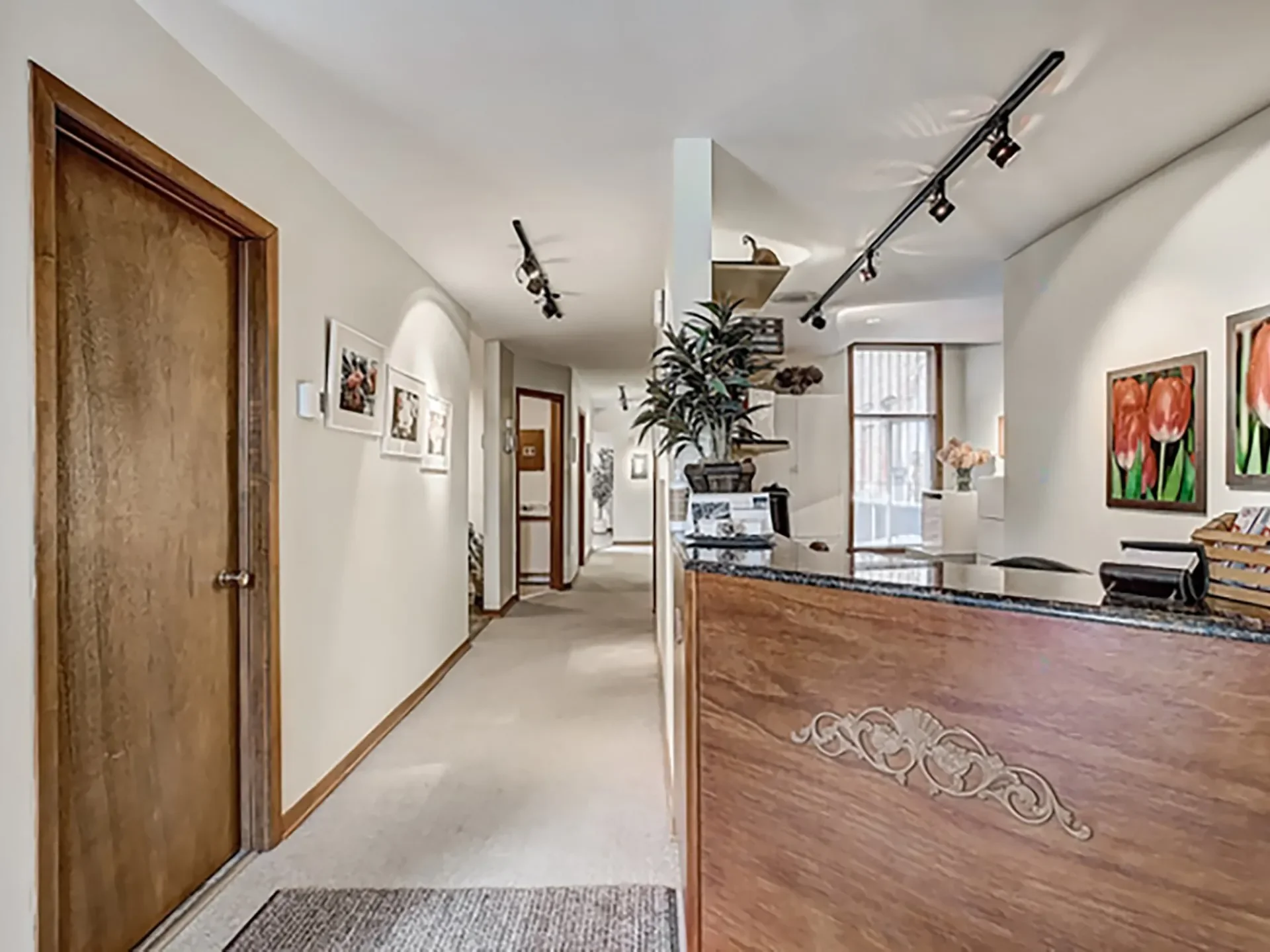 Gallery photo 3
