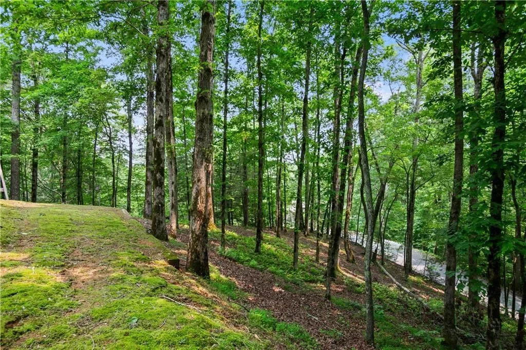 100 Oboe Court, Ellijay, Georgia, United States. - Photo 32