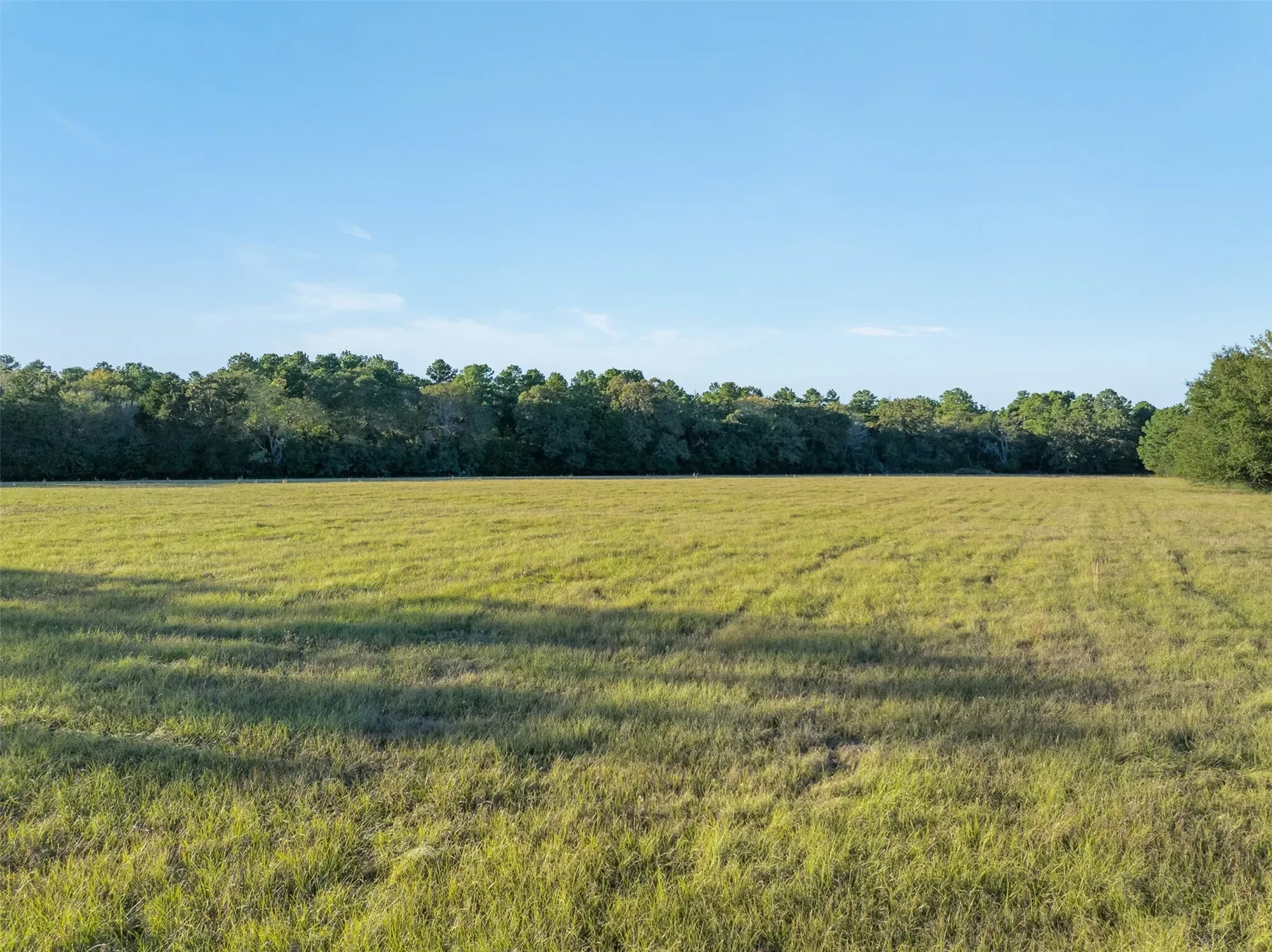 16121 Fm 2620 Road, Bedias, TX 77831, 77831, Texas, United States. - Photo 5