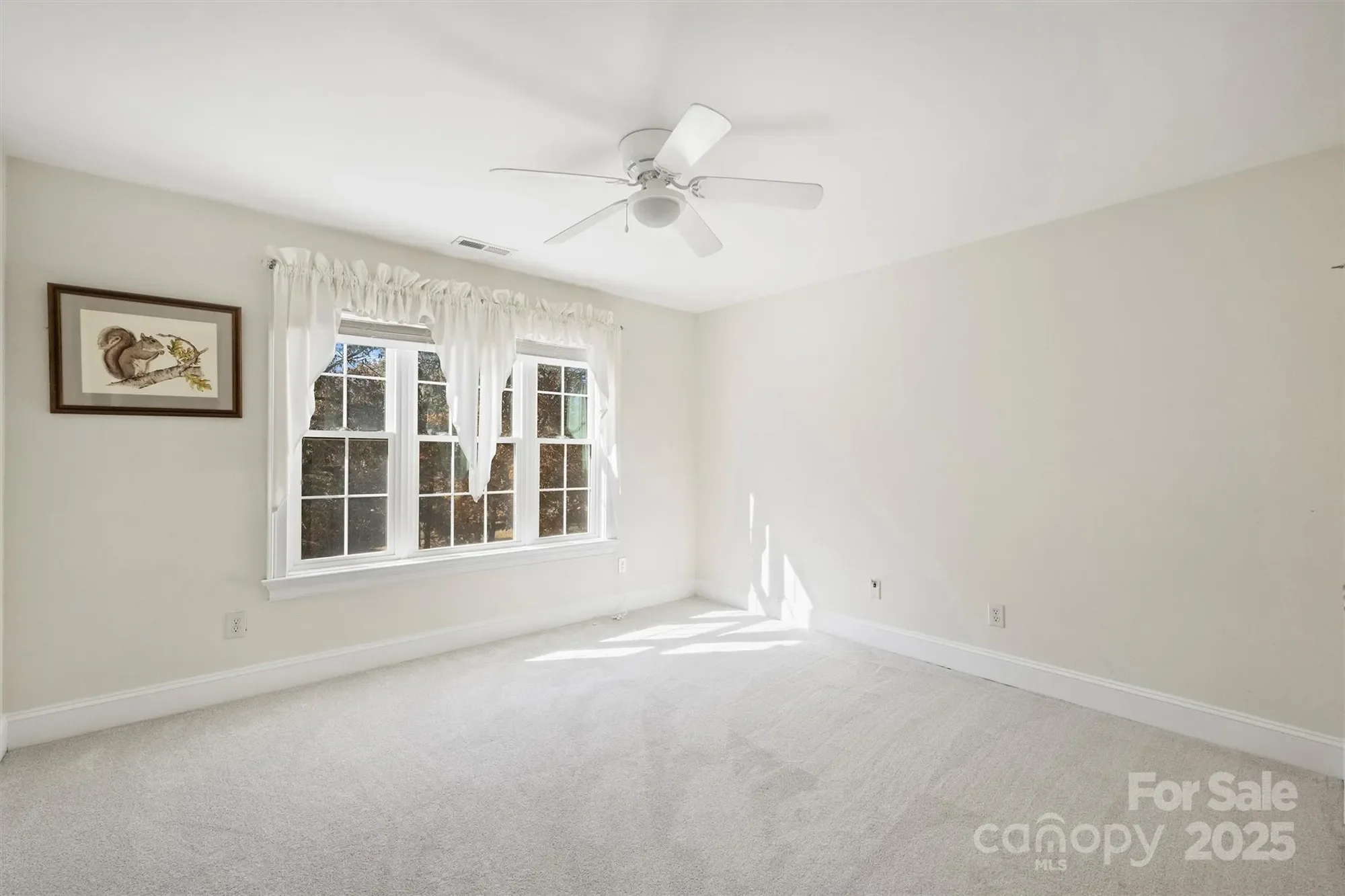 Gallery photo 9