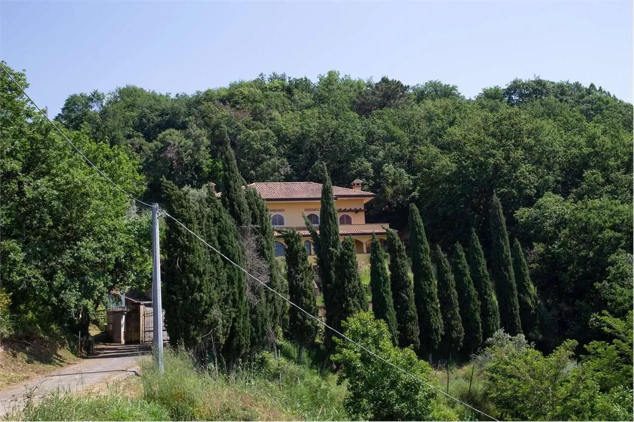 Via Monteverde, Carrara, Tuscany, Italy. - Photo 12