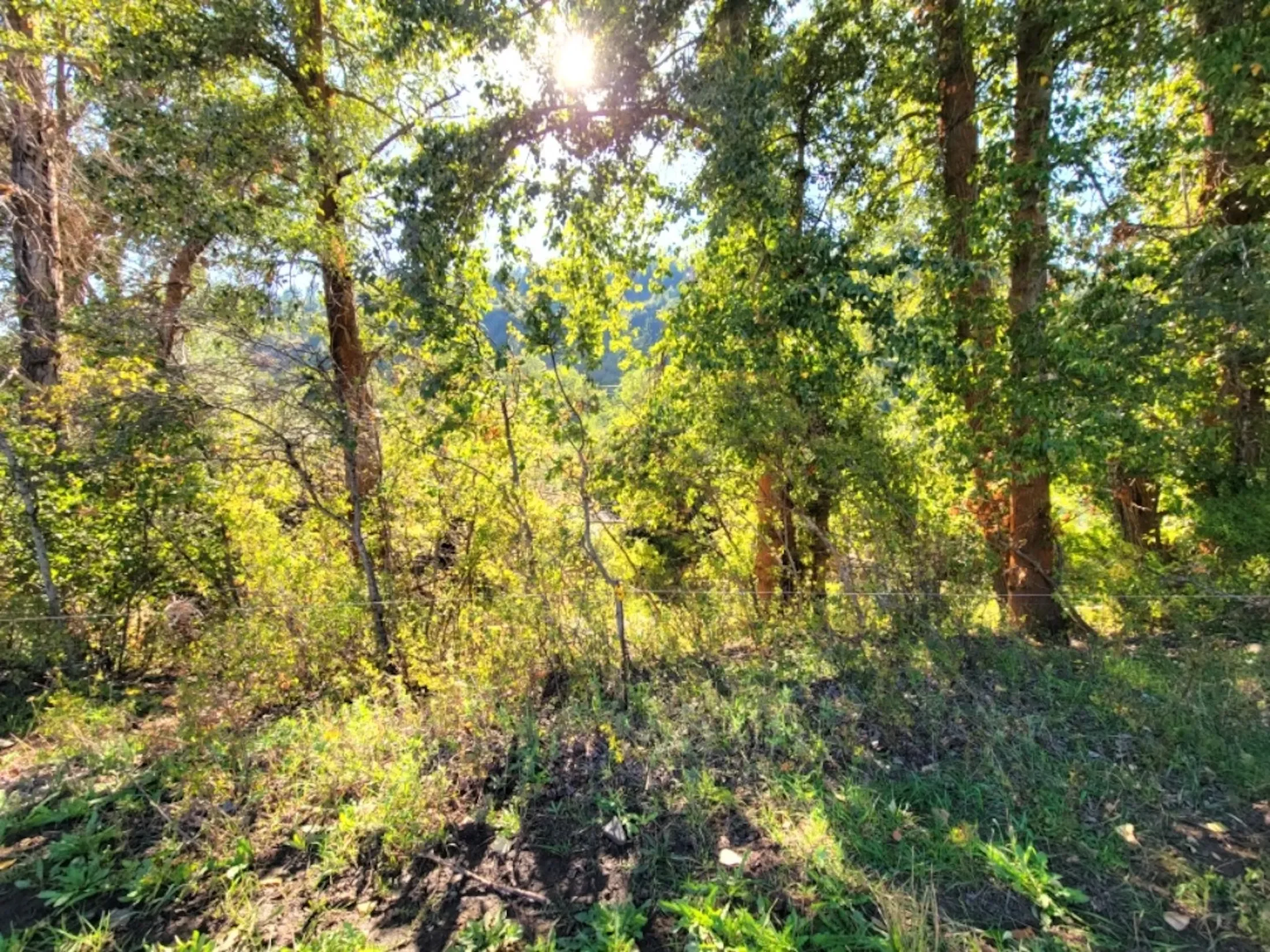 Property photo 11
