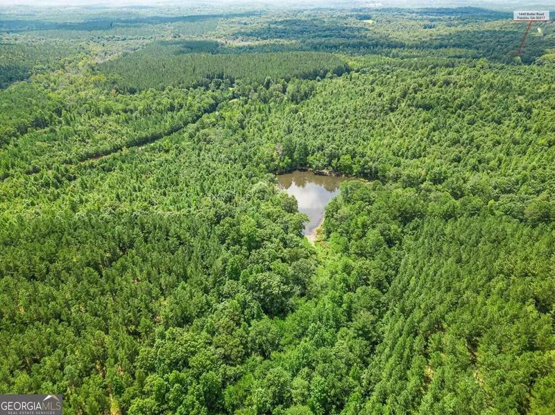Franklin, Georgia, United States. - Photo 27