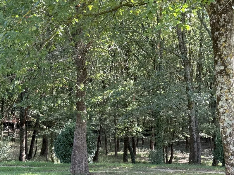 Sabaillan, Sabaillan, Sabaillan, Occitanie, France. - Photo 30
