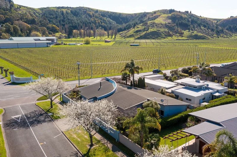 207 Avenue Road Greenmeadows, Napier, HKB 4112, Napier, Hawke's Bay, New Zealand. - Photo 25